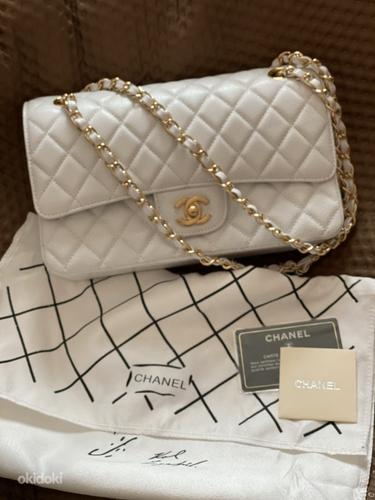 Chaneli kott (foto #2)