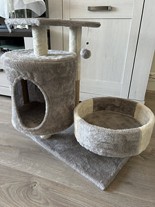 Majake ja ase väikesele kassile (3 foto / 3)