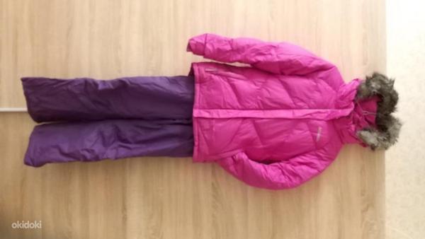 Зимнюю курточку и брюки, на девочку, 164см (фото #1)