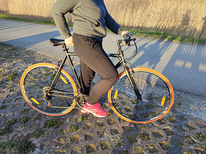 Jalgratas GUST RIGA 28" (5 foto / 6)