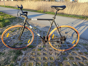 Jalgratas GUST RIGA 28" (2 foto / 6)