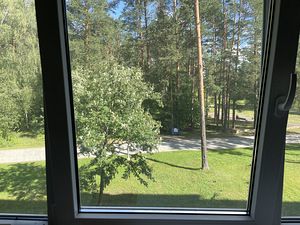 Virmalise tn 11, Oru, Kohtla-Järve, Ida-Virumaa (11 foto / 12)