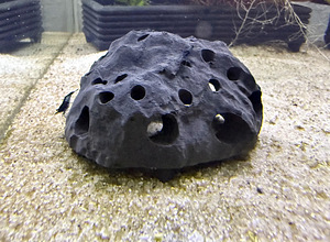 3D-prinditud dekoratsioonid (3 foto / 5)