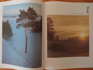 Album SUURTE INSPIRATSIOONI MAAL (4 foto / 7)