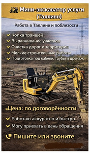 EKSKAVATOORI TEENUSED (2 foto / 2)