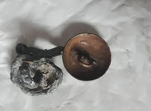Merepõhja artefaktid (5 foto / 10)