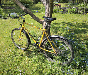 Jalgrattas 26" GaryFisher Piranha (1 foto / 4)