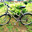 Jalgratas ALU-Bike Active 26" (foto #1)