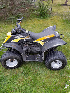 E-ton viper 90 (3 фото из 5)