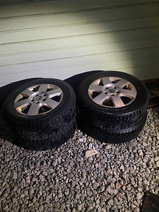 Škoda talvine naastud veljed koos rehvidega 195/65r15 95t xl (1 foto / 5)