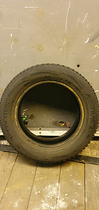 Korralikult rehvid (2 foto / 3)