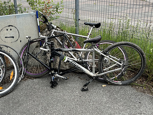 Jalgrattad (3 foto / 4)