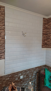 Plaatija, maaler (5 foto / 10)