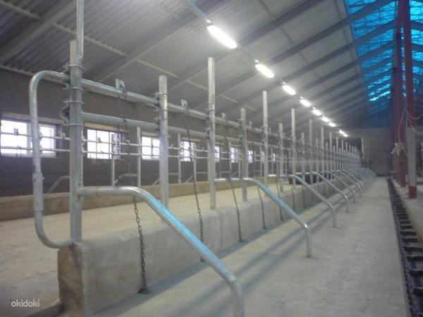 Loomakasvatusfarmide sisustus Оборудование ферм КРС (фото #2)