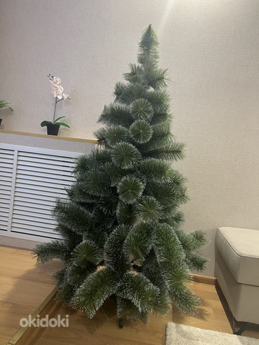 Jõulupuu