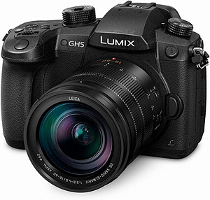 Panasonic Lumix GH5 + 12-60mm F2.8-F4 (1 foto / 1)