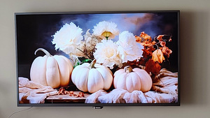 Philips 43PUT6401/12 43" teler + seinakinnitus (3 foto / 4)