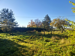 Kingu, Kaave, Jõgeva vald, Jõgevamaa (15 foto / 15)