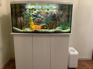 Akvaarium 190l (1 foto / 1)