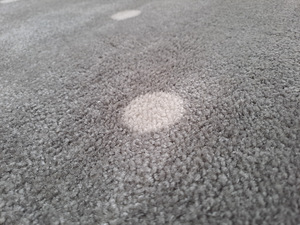 Hall vaip valgete täppidega. (2 foto / 4)