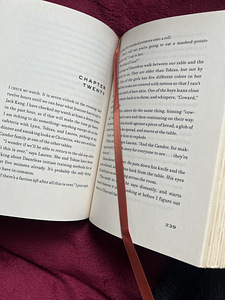 INSURGENT COLLECTOR’S EDITION book by V.Roth (7 foto / 9)