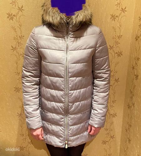 Зимняя куртка Trussardi (фото #2)
