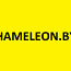 Продам домен hameleon . by (фото #1)