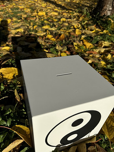 Maagiline yin-yang rahakassa (3 foto / 5)