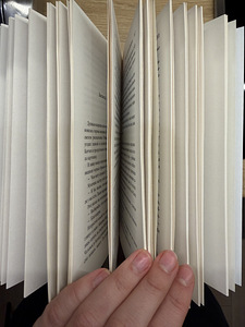 Hubane jõuluraamat — Fannie Flagg (4 foto / 5)