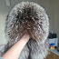 Naturaalsest karvast müts (foto #3)