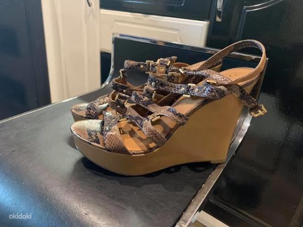 Guess kingad 41