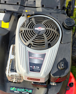 Muruniiduk raider 66cm (3 foto / 6)