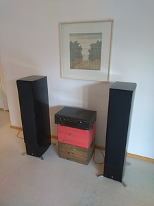 Kõlarid Yamaha NS-555 + Technics SA-AX540 ressiiver (5 foto / 10)