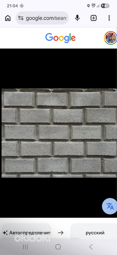 Müürsepp
