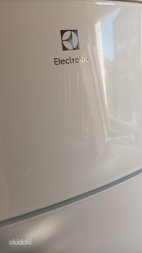 Двухкамерный холодильник ELECTROLUX CT280 (фото #5)