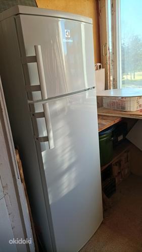 Двухкамерный холодильник ELECTROLUX CT280 (фото #6)