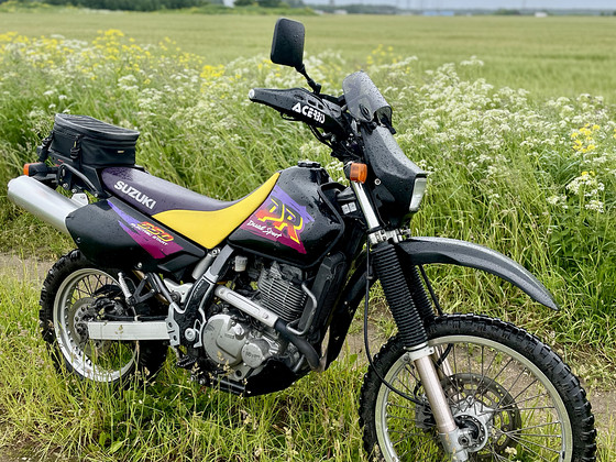 Suzuki DR650SE