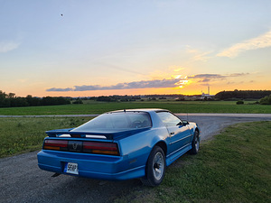 Pontiac Firebird 5.7 TPI; Manuaal; Targa (4 foto / 14)