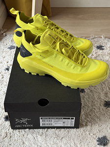 Кроссовки Arcteryx VERTEX ALPINE GTX M (2 фото из 4)