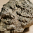 Müüa fossiili (foto #3)