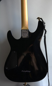 Mod'itud Schecter Omen 6 Diamond Series + Kott + Rihm (2 foto / 5)