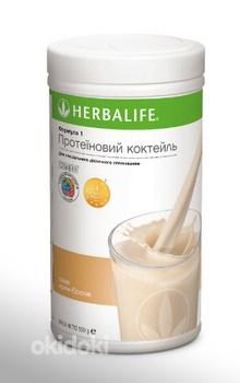 Herbalife - Protein Shake, 550 g (foto #7)