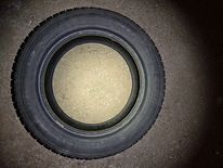 Dunlop Graspic DS2 205/55 r16 (6 мм)