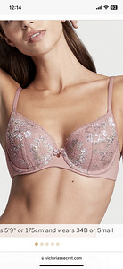 Victoria Secreti büst (3 foto / 5)