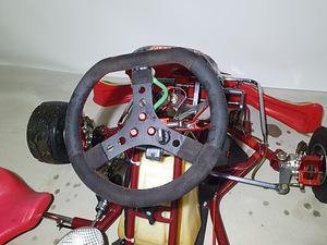 Kart Wildkart DD2 (7 foto / 10)