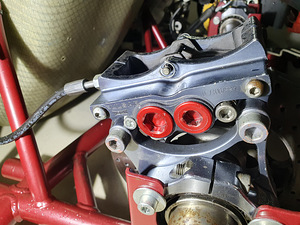 Kart Wildkart DD2 (9 foto / 10)