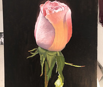 Картина Роза