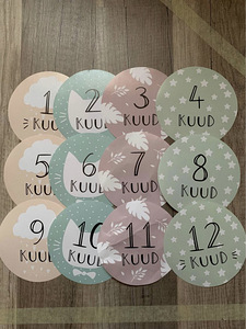 Beebi pildistamiseks kaardid (1-12 kuud) (1 foto / 3)