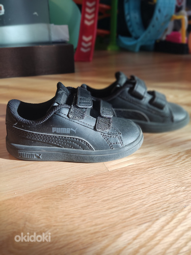 Puma tossud