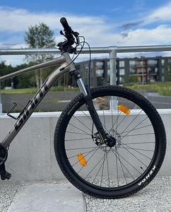Jalgratas Giant 29 (4 foto / 6)